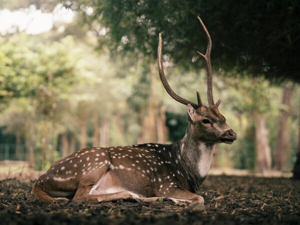 Новини культури - Гороскоп для всіх знаків зодіаку на 28 жовтня 2025 року