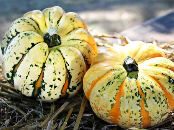 Новини культури - Гороскоп для всіх знаків зодіаку на 29 жовтня 2025 року