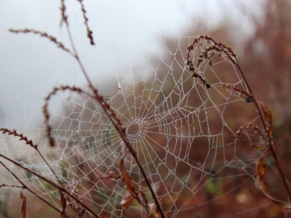 Новини культури - Гороскоп для всіх знаків зодіаку на 30 жовтня 2025 року