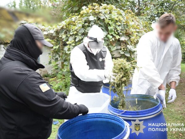 Новини України - На Київщині вилучили наркотиків на 15 млн грн