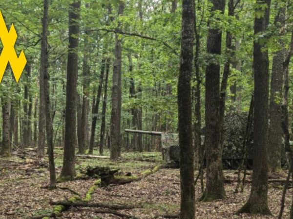 Новини України - Партизани допомогли зірвати наступ РФ під Вовчанськом