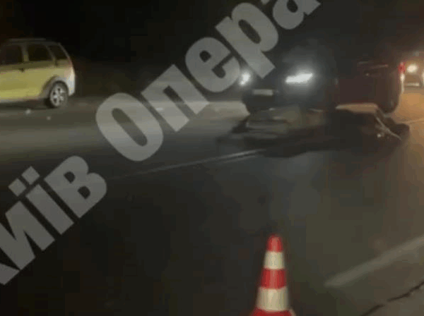 Новини Києва - Під Києвом авто збило лося