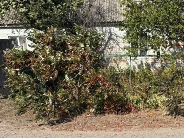 Новини України - Росіяни вбили жительку Харківщини