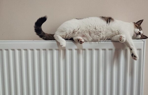 Новини України - Стало відомо, скільки споживачів в Україні підключено до теплопостачання