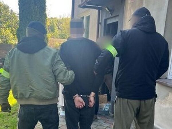 Новини світу - У Польщі затримали палія автівок з українськими номерами