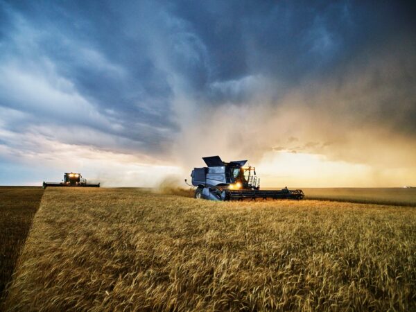 Новини бізнесу - Українські аграрії обмолотили 65% зернових площ
