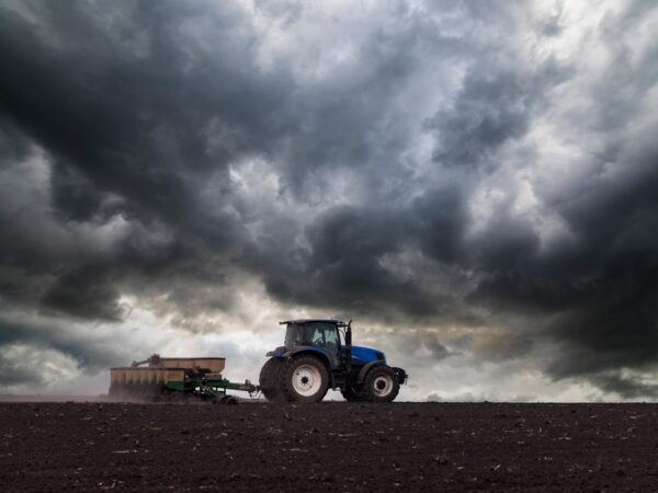 Новини бізнесу - Українські аграрії засіяли 74% озимих культур