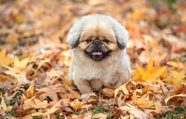 Новини України - В Україну йде потепління