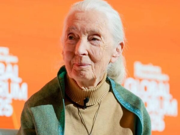 Новини культури - Відправити на іншу планету. Оприлюднено останнє звернення Джейн Гудолл