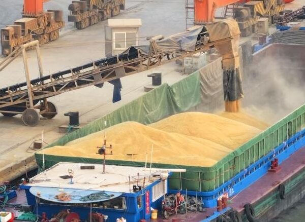 Новини України - Вивезення мільйонів тонн зерна з України: урядовцю РФ повідомлено підозру