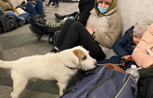 Новини України - Загроза балістики: Київ та області України у тривозі