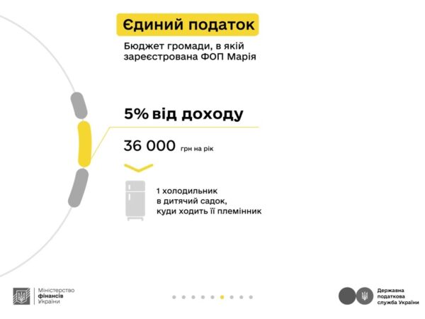Комунікаційна кампанія «Податки захищають»: Блогерка Марія та податки з реклами в ТікТоку