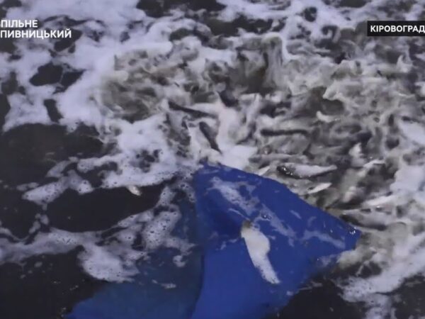 Понад дві тонни товстолоба й коропа оселилися в річці Сугоклія на Кіровоградщині