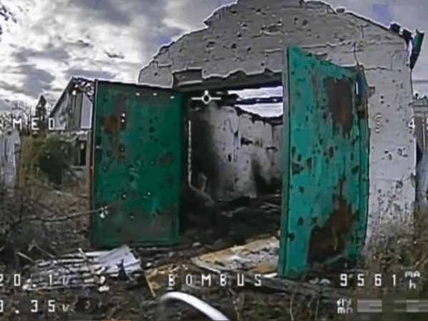 Новини України - Альфа СБУ ліквідувала 1500 окупантів у Покровську