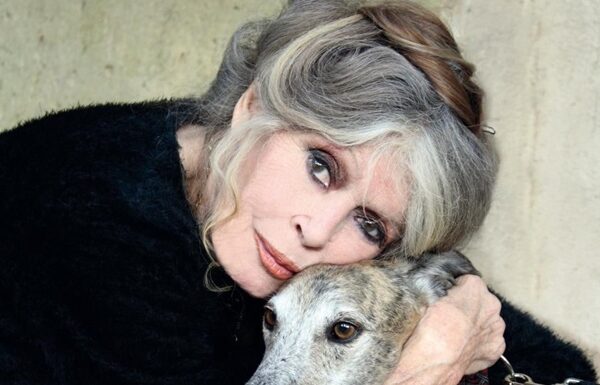 Новини культури - Бріжит Бардо повернулася до лікарні після жовтневої операції