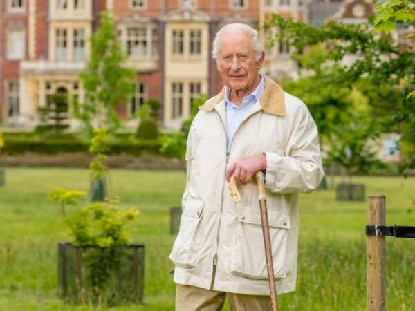 Новини культури - Букінгемський палац оприлюднив новий портрет монарха