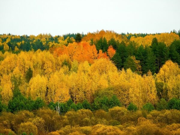Новини культури - Гороскоп для всіх знаків зодіаку на 14 листопада 2025 року