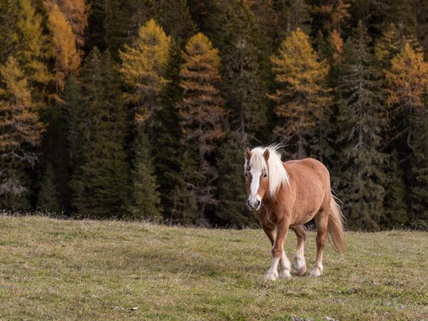 Новини культури - Гороскоп для всіх знаків зодіаку на 6 листопада 2025 року