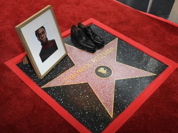 Новини культури - На Алеї слави відкрили зірку Чедвіка Боузмана: Голлівуд вшанував легенду