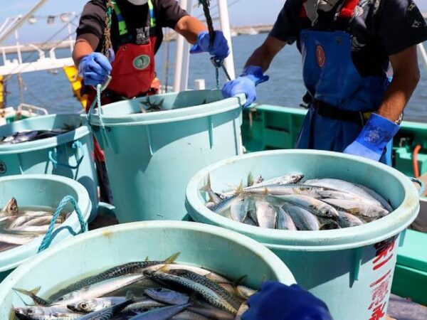 Новини бізнесу - Скандал через Тайвань: Китай заборонив японські морепродукти