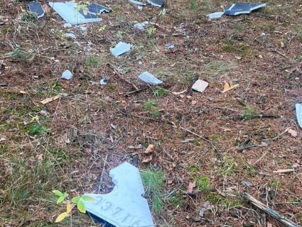 Новини України - У лісі на Чернігівщині здетонував дрон, поранені двоє підлітків