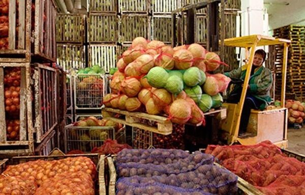 Новини України - Україна займає російську нішу в експорті продовольства та кормів до ЄС