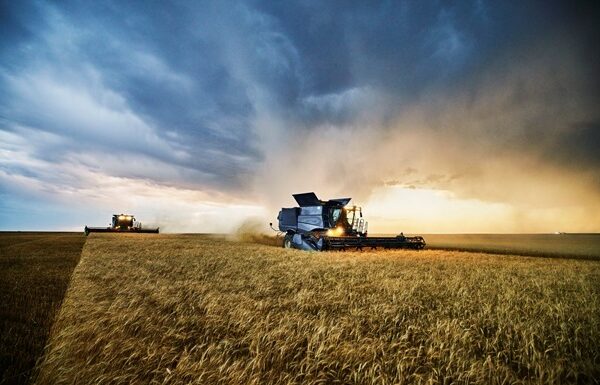 Новини України - Укргідрометцентр прогнозує хороший врожай озимих