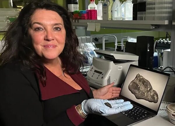 Технології - В Естонії знайшли смолу, яку жувала дівчина кам’яної доби