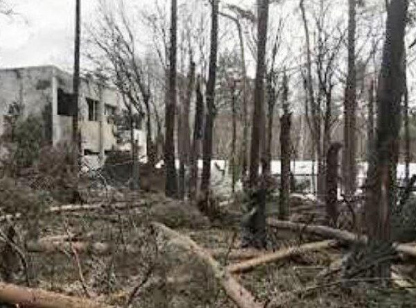 Новини України - В Україні подали перший позов проти росіян за екологічні збитки