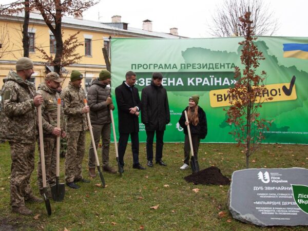 Новини України - В Україні висадили мільярдне "дерево Зеленського"