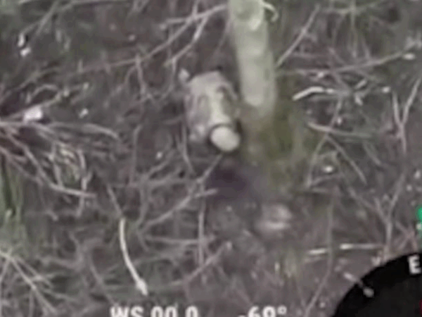 Новини України - Військовий РФ покинув товариша стікати кров’ю на полі бою