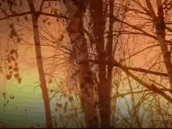 Новини України - ЗСУ уразили російський НПЗ та склад дронів в Криму