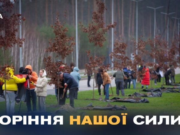 Кожен дуб – історія життя та подвигу полеглого воїна