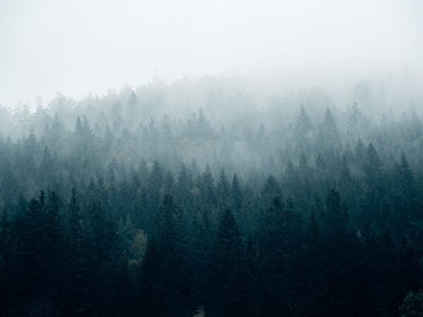 Новини України - Без опадів, але з туманами: погода на початку тижня