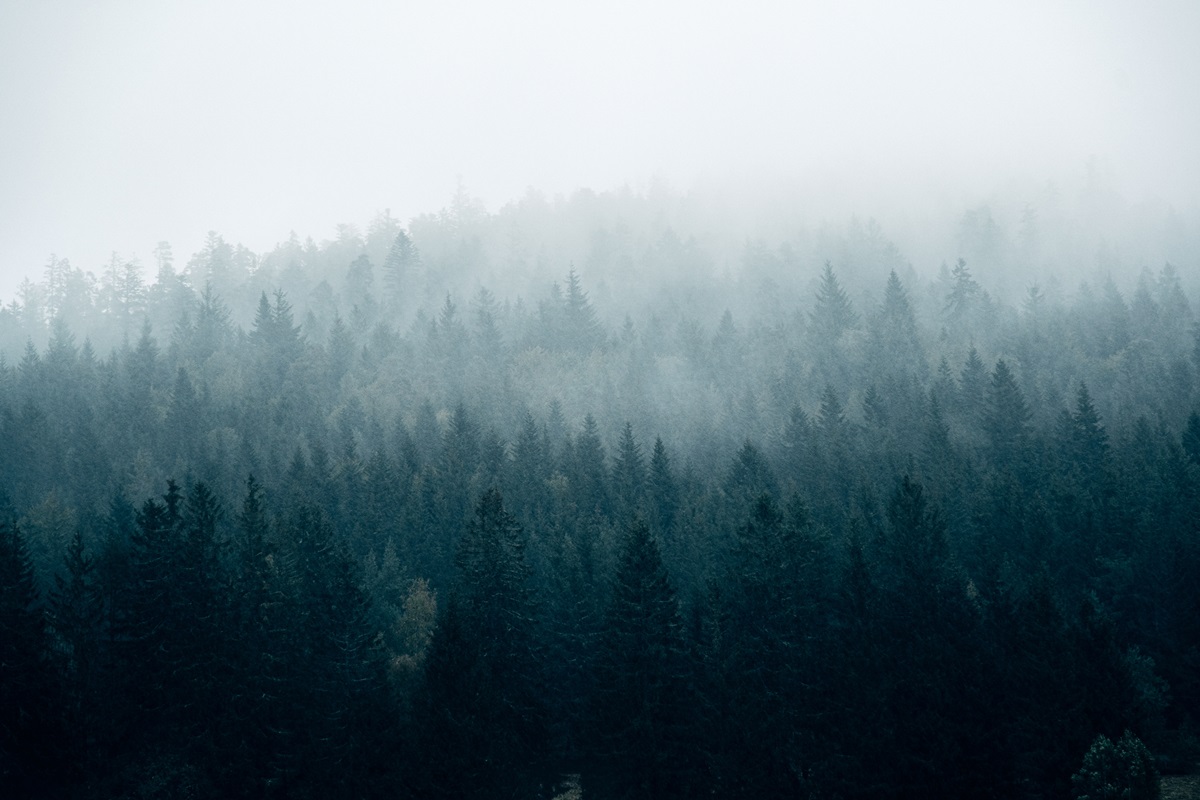 Новини України - Без опадів, але з туманами: погода на початку тижня