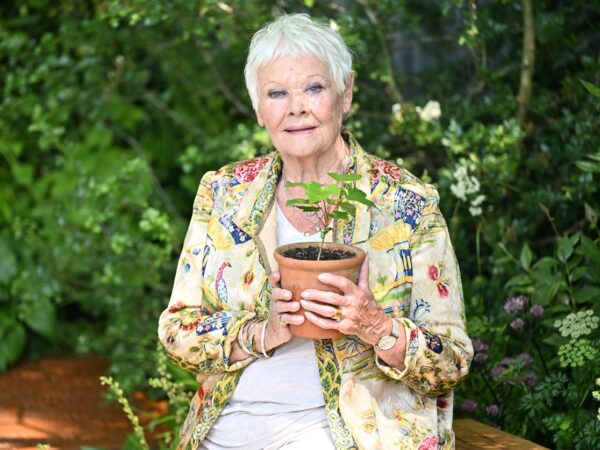 Новини культури - Джуді Денч зізналася, що майже втратила зір через прогресуючу хворобу