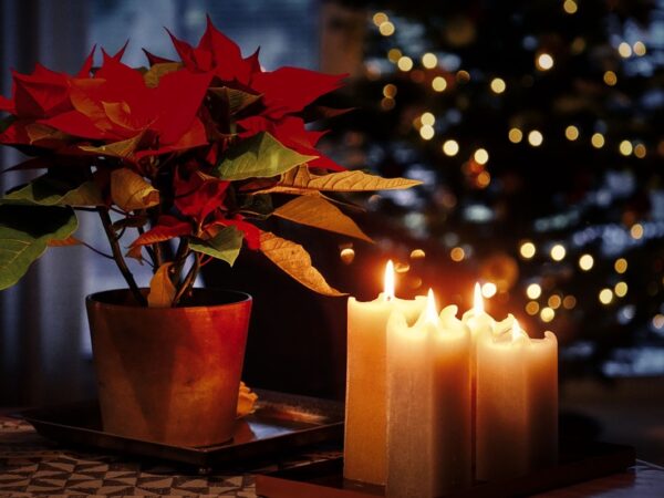 Новини культури - Гороскоп для всіх знаків зодіаку на 3 грудня 2025 року