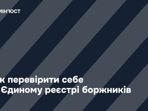 Як здійснити перевірку в Єдиному реєстрі боржників