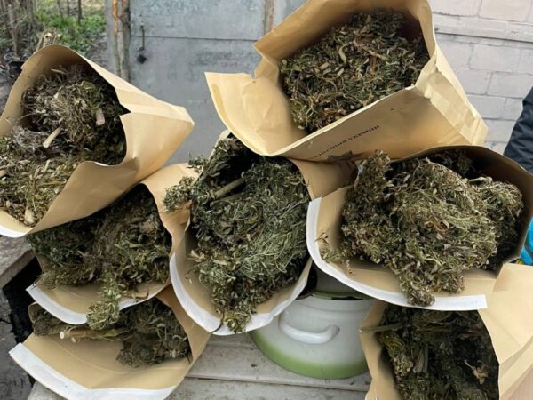 Новини України - На Харківщині у наркозбувачів вилучили понад 10 кг канабісу