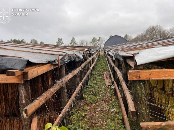 Новини України - На Хмельниччині викрили підпільне виробництво тютюну