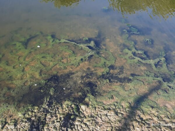 Новини України - Річку в Луганську окупанти перетворили на токсичний колектор - ЦНС