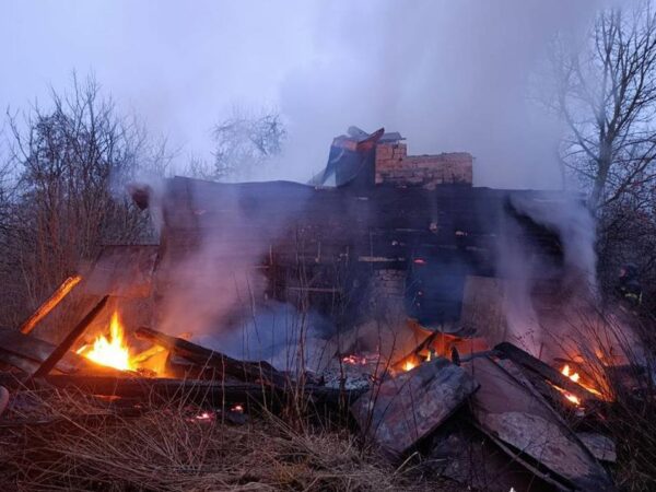 Новини України - Росіяни обстріляли ферму на Чернігівщині: загинули корови