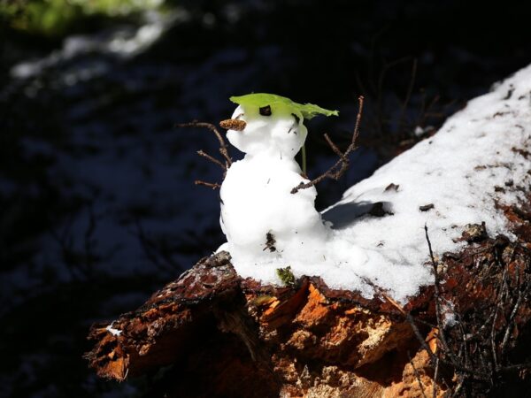 Новини України - Синоптики дали прогноз погоди на січень 2026 року