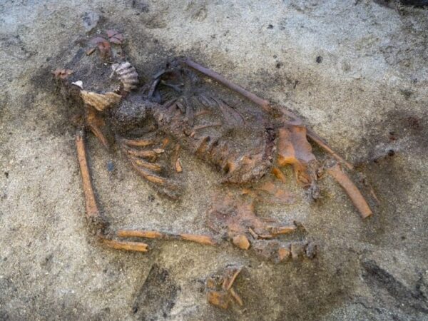 Технології - У Швеції знайшли поховання жінки-вікінга з мушлею в роті