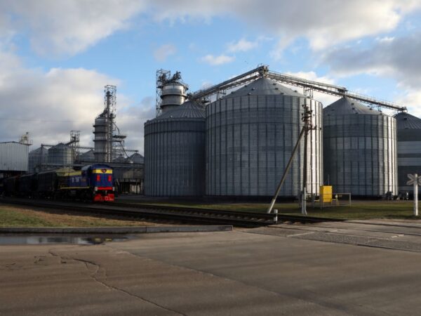 Новини бізнесу - В Україні зібрали майже 60 млн тонн зерна