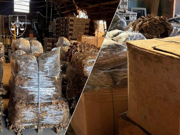 Новини України - Викрито постачальників тютюну для підпільної фабрики на Полтавщині