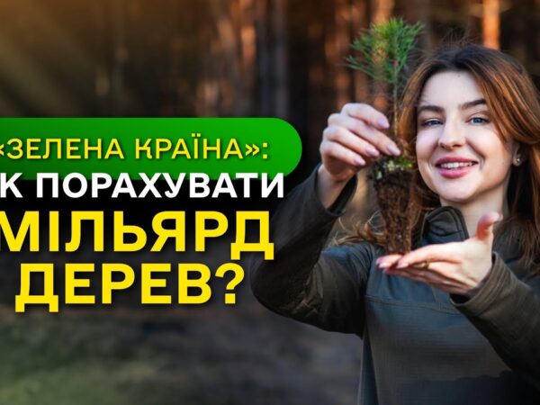 МІЛЬЯРД ДЕРЕВ зʼявився в Україні / як ДП "Ліси України" реалізували програму ЗЕЛЕНА КРАЇНА?