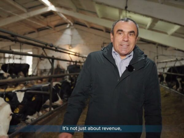 ARISE: Історії стійкості – відеопроєкт про результати підтримки українського бізнесу