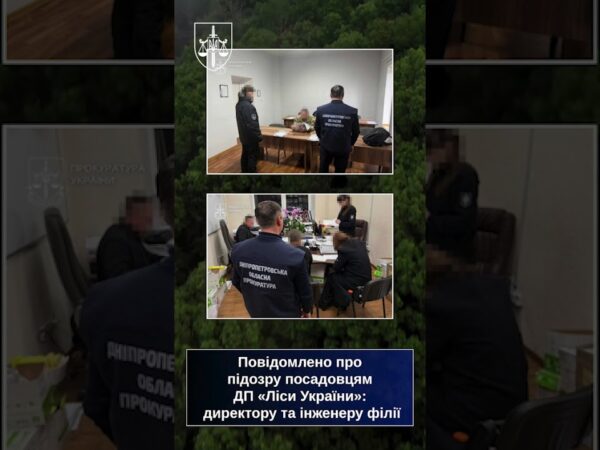 На Дніпропетровщині викрито незаконну вирубку в лісах природно-заповідного фонду