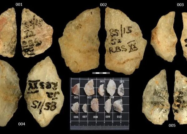 Технології - Археологи знайшли найдавнішу отруйну зброю людства віком 60 тис років